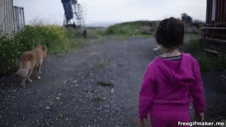 a little girl in a pink outfit is walking down a dirt road with a dog .