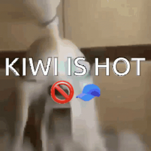Kiwi Mm3 GIF - Kiwi Mm3 GIFs