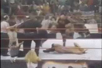 Stone Cold Stunner GIF - Stone Cold Stunner Referees GIFs