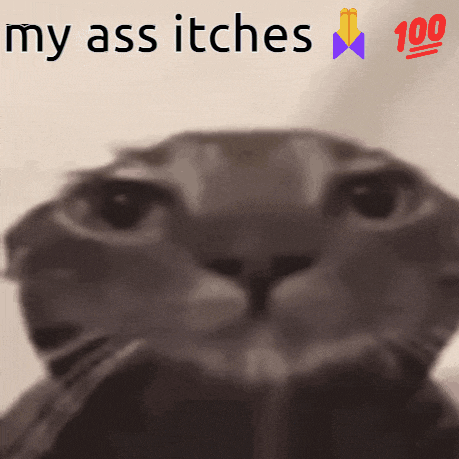a close up of a cat 's face with the words my ass itches below it