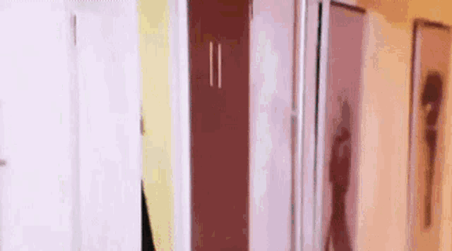 a person is standing in a hallway next to a refrigerator and a closet .