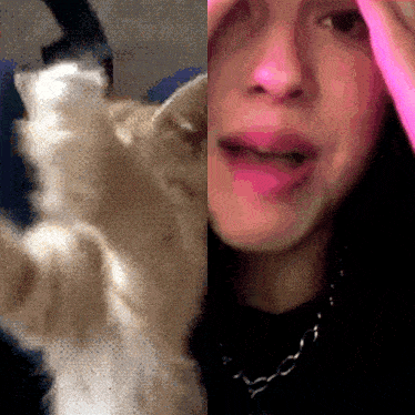 a close up of a cat and a close up of a woman 's face