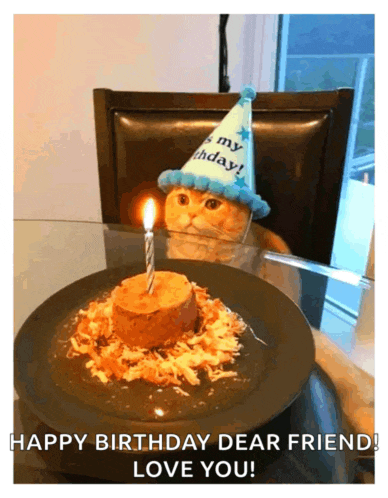 a cat wearing a birthday hat looks at a birthday cake with a candle