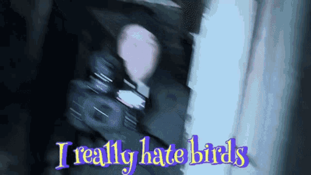 a blurry picture of a man holding a camera with the words i really hate birds below him