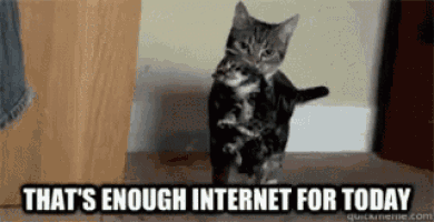 a cat is walking in a room with the caption that 's enough internet for today