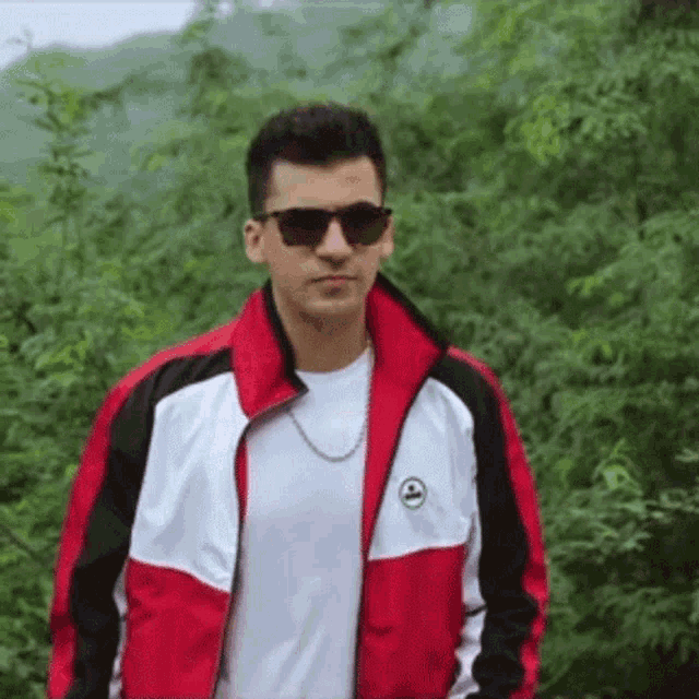 a man wearing sunglasses and a red and white jacket is standing in front of a forest .