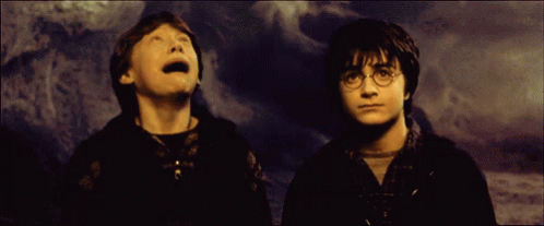 Ron Weasley Scared GIF - Ron Weasley Scared Spiders GIFs