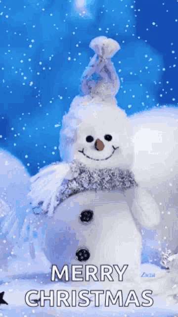 a merry christmas greeting with a snowman in the background