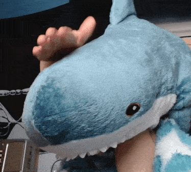 Hehe Shonk Shark GIF - Hehe Shonk Shonk Shark GIFs