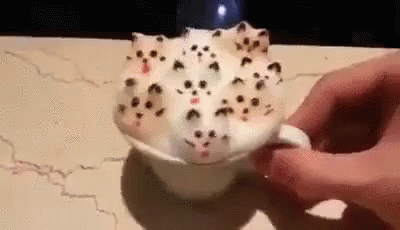 Freaky Cat-puccino  -freaky GIF - Freaky Catpuccino Cats GIFs