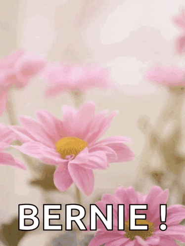 a mother 's day card with pink flowers and the name bernie on it