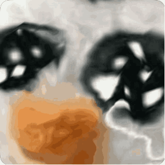 a close up of a cat 's eyes with the word siss visible