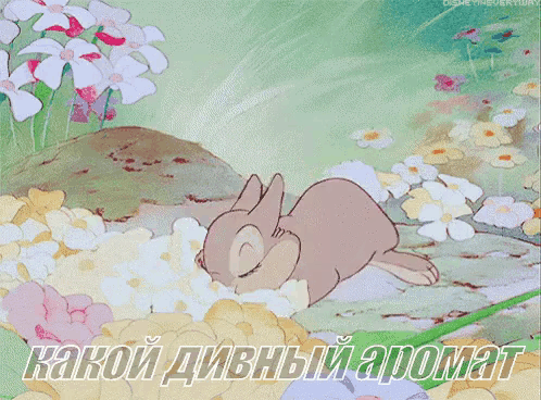 a cartoon of a rabbit sniffing flowers with the caption " какой дивный аромат " below it