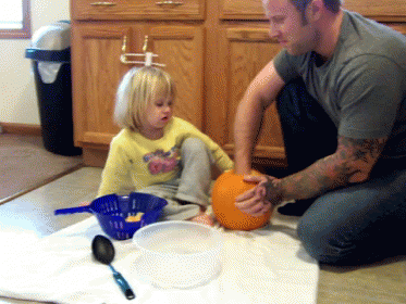 Too Much Pumpkin Action Going On GIF - Comedy Caught On Tape Pumpkin GIFs
