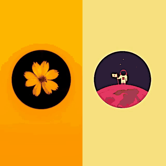 a picture of an astronaut holding a flag next to a picture of a flower on a yellow background