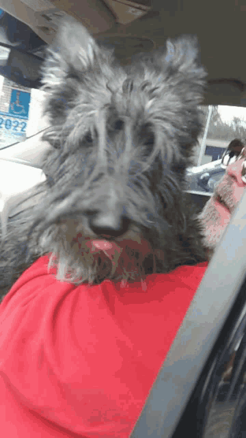 a man in a red shirt is sitting in a car with a handicapped sign in the background