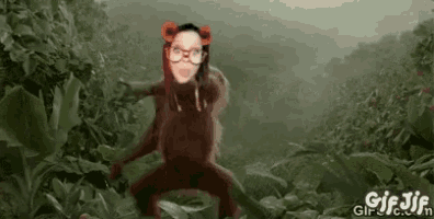 a picture of a monkey with a woman 's face on it and the words gif jif on the bottom