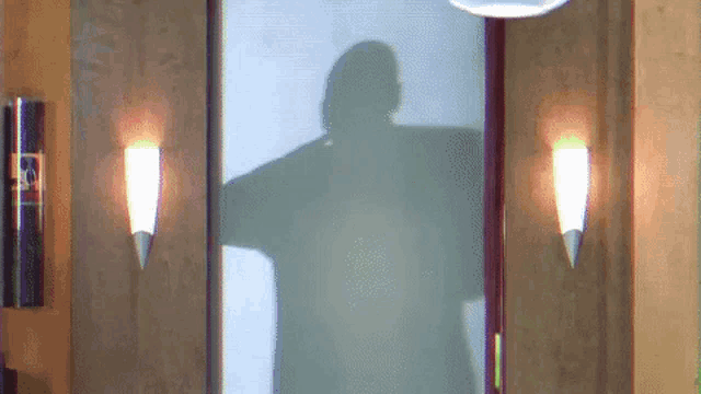 a shadow of a person is projected on a wall in front of a mirror .