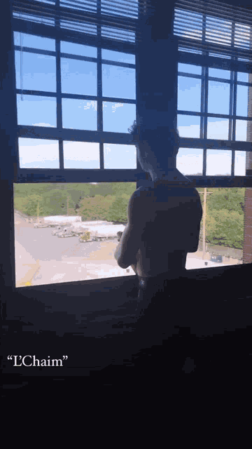 a shirtless man stands in front of a window with chain written in the corner