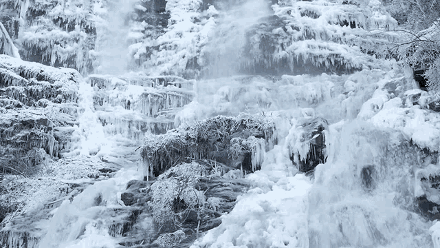 a waterfall is covered in snow and ice and is surrounded by trees