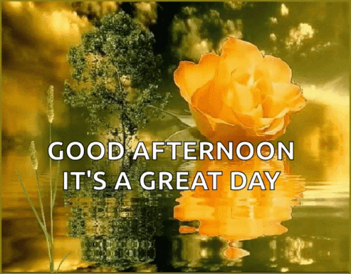 Good Afternoon Great Day GIF - Good Afternoon Great Day Flowers GIFs