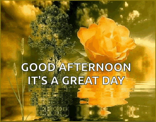 a card that says good afternoon it 's a great day with a yellow flower