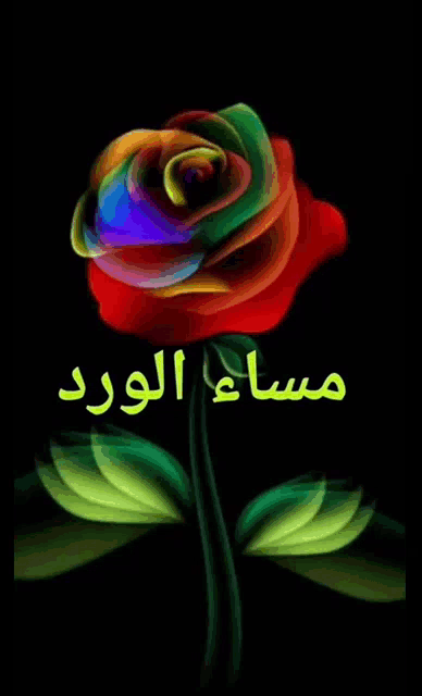 a colorful rose on a black background with the words " مساء الورد " below it