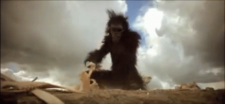 I Love Bones! GIF - Movies Monkey 2001a Space Odyssey GIFs