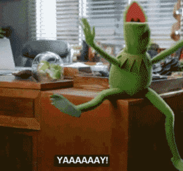a kermit the frog is sitting on a desk with a watermelon on his head and says yaaaay