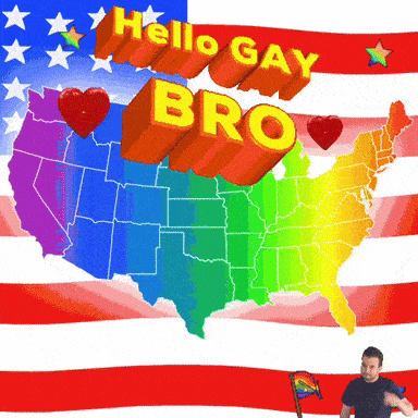 a map of the united states with the words " hello gay bro "