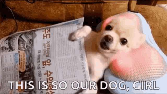 a small dog is laying on top of a newspaper with the caption `` this is so our dog , girl '' .