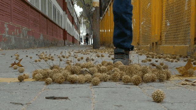 a person standing on a sidewalk with a bunch of balls on the ground
