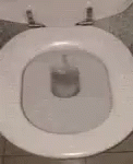 Toilet Spider GIF - Toilet Spider Flush GIFs