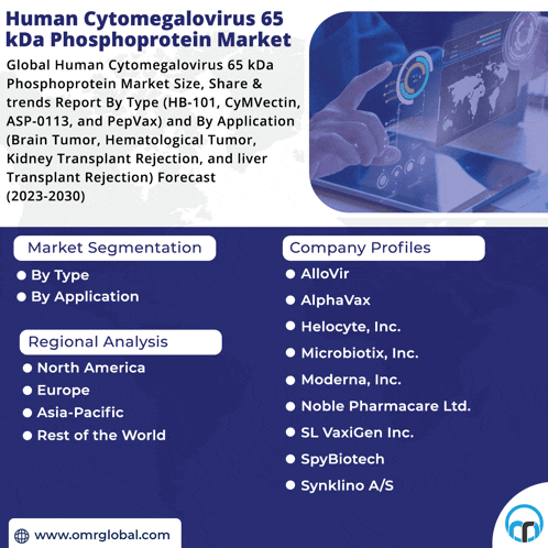 a flyer for the human cytomegalovirus 65 kda phosphorprotein market