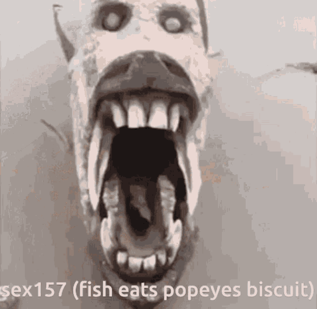 Sex157 Popeyes GIF - Sex157 Popeyes GIFs