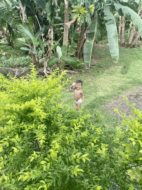 a baby in a diaper stands in a lush green forest