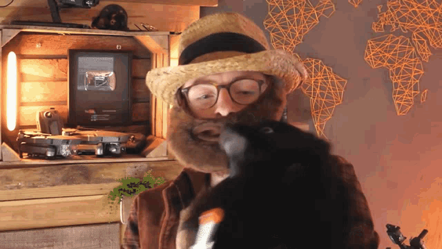 a man wearing a straw hat and glasses holds a cat