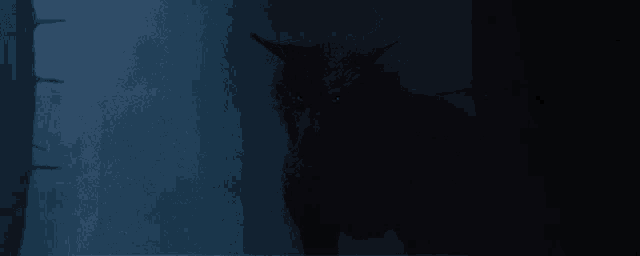 a black animal with red eyes is in the dark