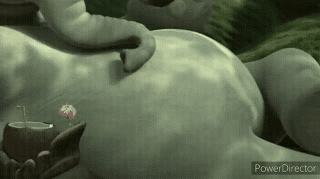 a close up of an elephant 's belly with a pink flower in a coconut