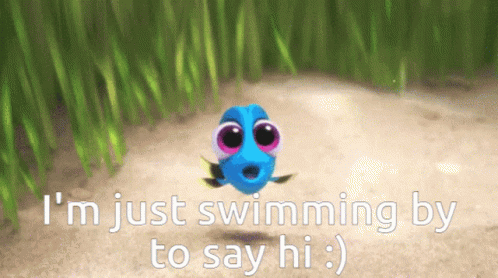 Dory Finding Dory GIF