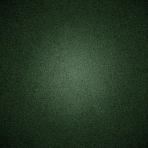 a logo for iqbal 's shaheen ideological defenders on a green background