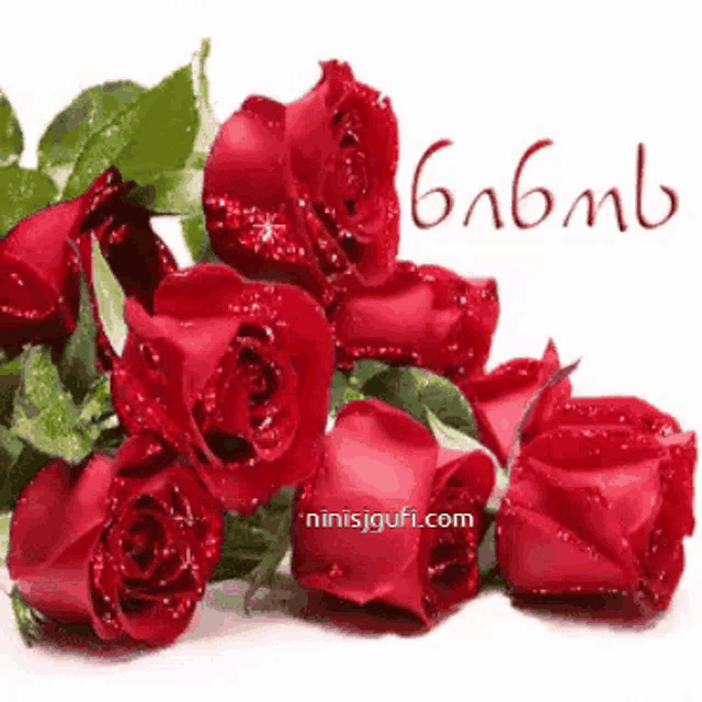 a bunch of red roses on a white background with the website ninisjgui.com in the corner