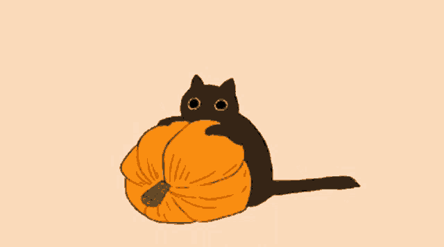 a cat with a pumpkin on its head is sitting down