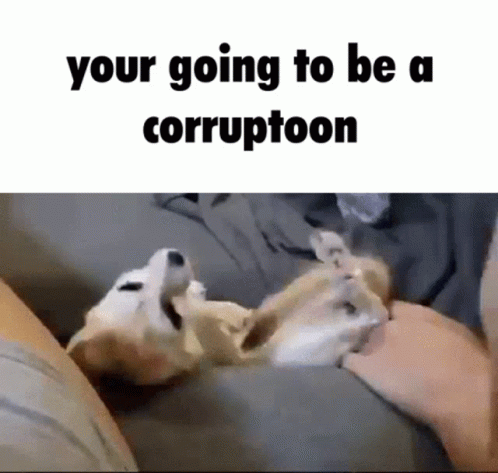 Dog Couch GIF - Dog Couch GIFs