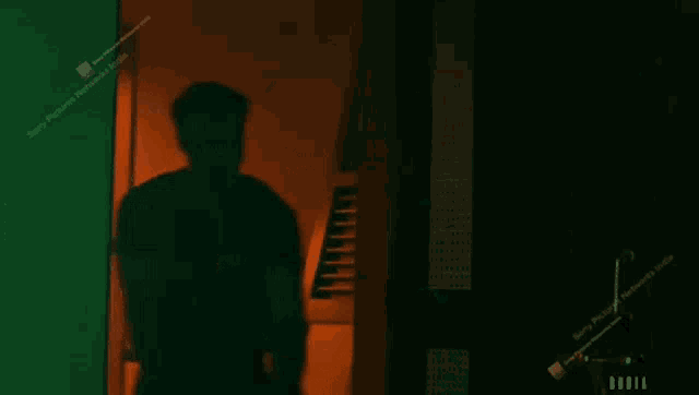 a man in a black shirt is standing in a dark room in front of a green wall .