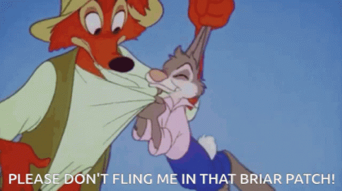 Please Dont Fling Me In That Briar Patch Brer Rabbit GIF - Please Dont Fling Me In That Briar Patch Brer Rabbit Brer Fox GIFs