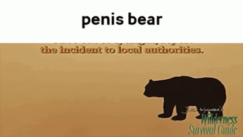 Penis Penis Bear GIF - Penis Penis Bear Bear GIFs