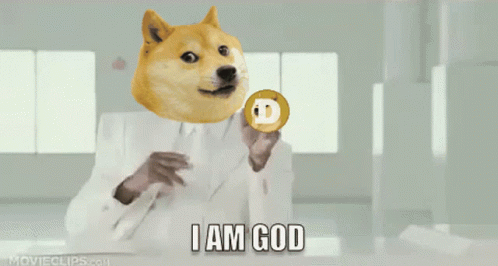 Doge Dogecoin GIF - Doge Dogecoin God GIFs