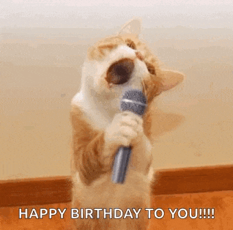 a cat is holding a microphone in its mouth and singing .