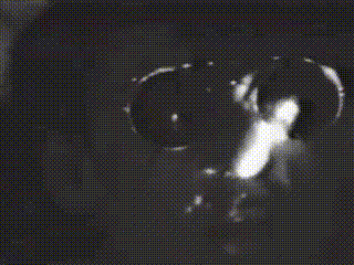 a black and white image of a circle with a white circle in the middle of it .
